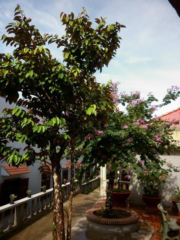 The Palm Tree Guesthouse Duong Dong Exterior foto