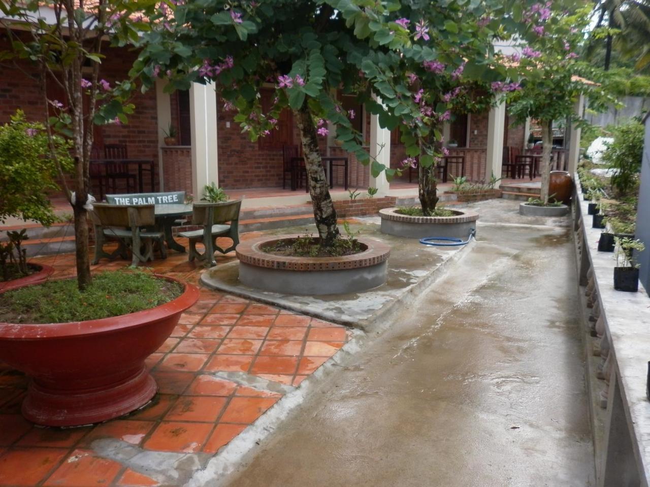 The Palm Tree Guesthouse Duong Dong Exterior foto
