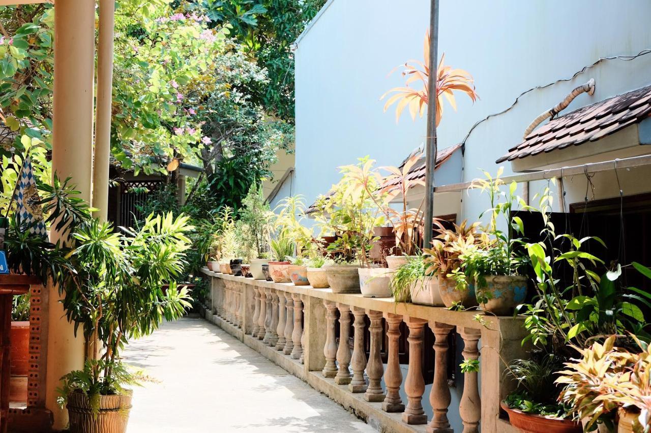 The Palm Tree Guesthouse Duong Dong Exterior foto